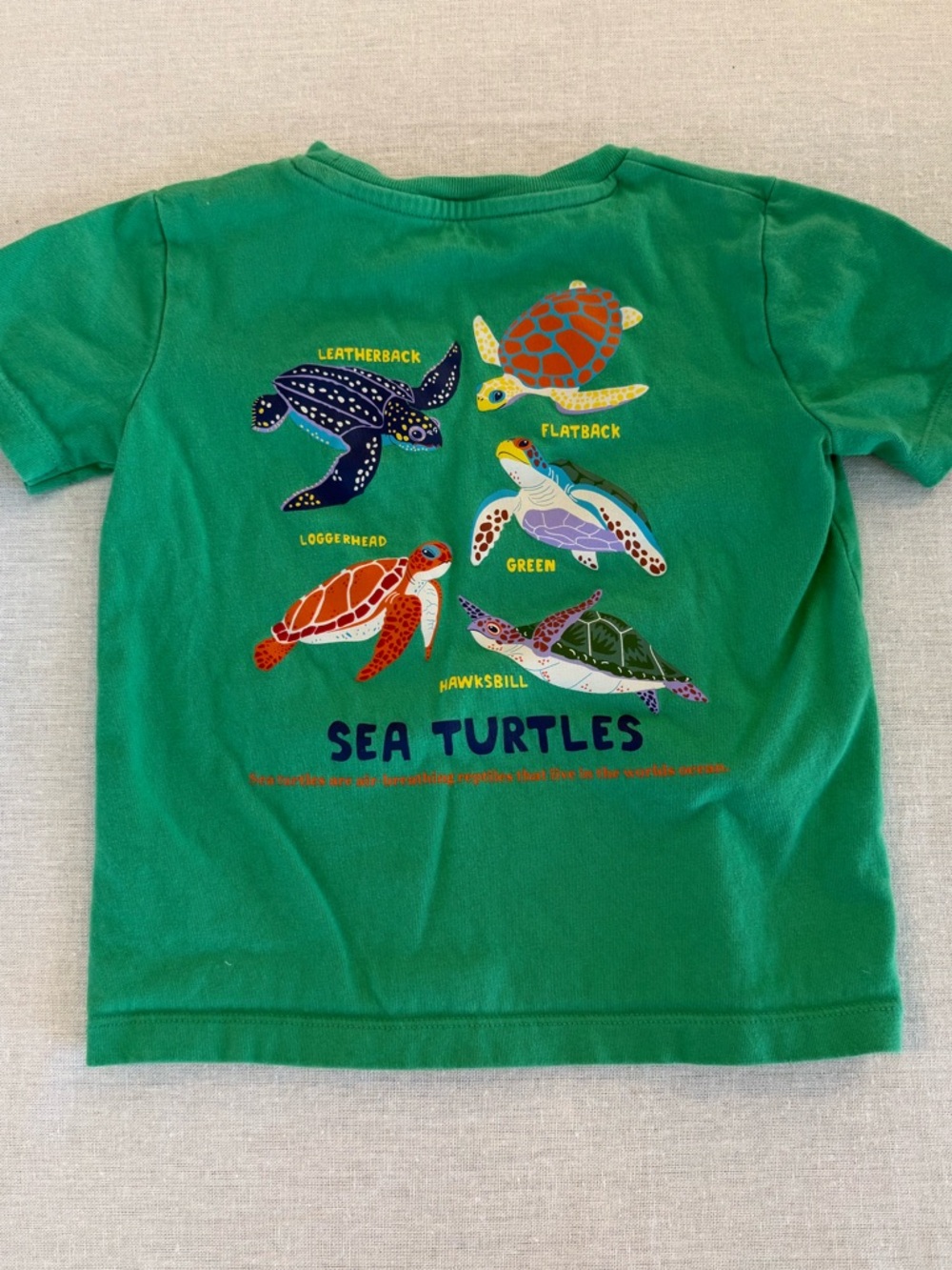 Mini Boden sea turtle short sleeve tee